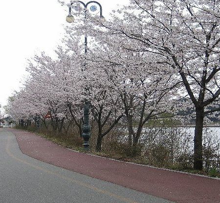 Youngrangho Resort Sokcho Dış mekan fotoğraf